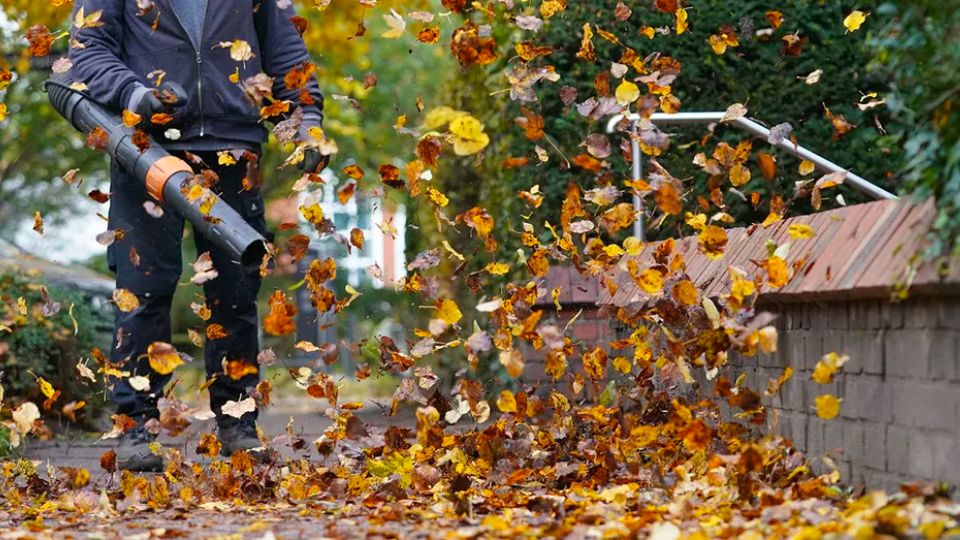 Michigan City is to Ban Gas-powered Leaf Blowers