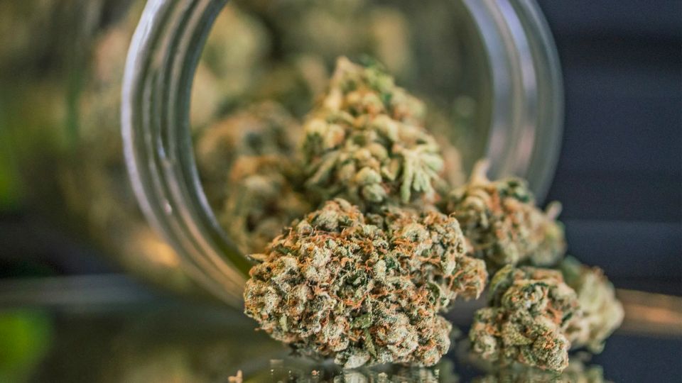 Study Shows Pennsylvania Highest Weed Consuming City